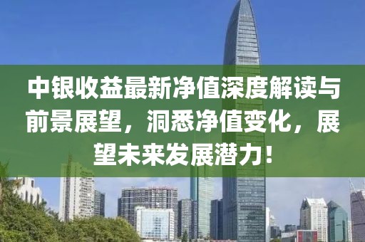 中银收益最新净值深度解读与前景展望，洞悉净值变化，展望未来发展潜力！