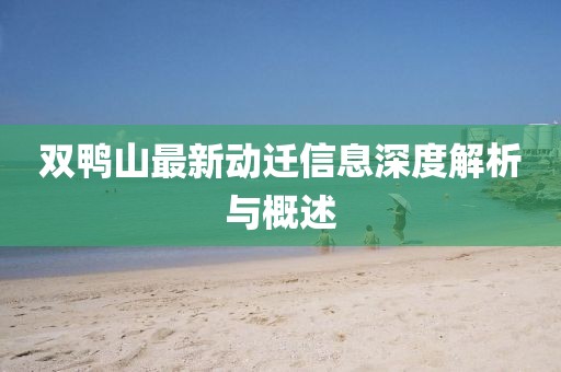 双鸭山最新动迁信息深度解析与概述