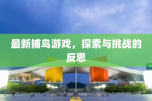 最新捕鸟游戏，探索与挑战的反思