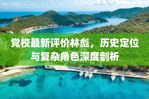 党校最新评价林彪，历史定位与复杂角色深度剖析