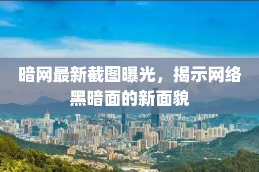 暗网最新截图曝光，揭示网络黑暗面的新面貌