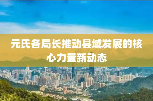 元氏各局长推动县域发展的核心力量新动态