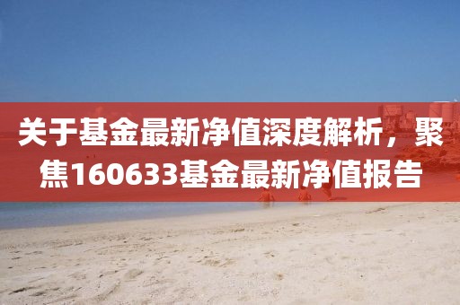 关于基金最新净值深度解析，聚焦160633基金最新净值报告