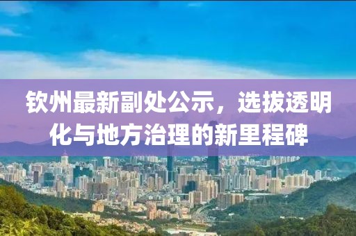 钦州最新副处公示，选拔透明化与地方治理的新里程碑