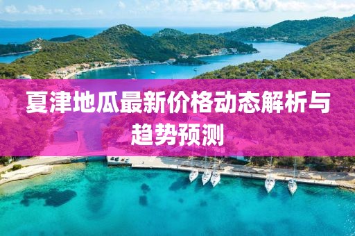夏津地瓜最新价格动态解析与趋势预测