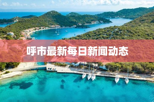 呼市最新每日新闻动态