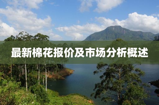 最新棉花报价及市场分析概述