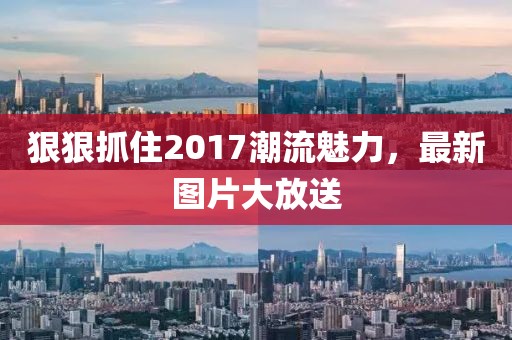 枳杼南 第14页