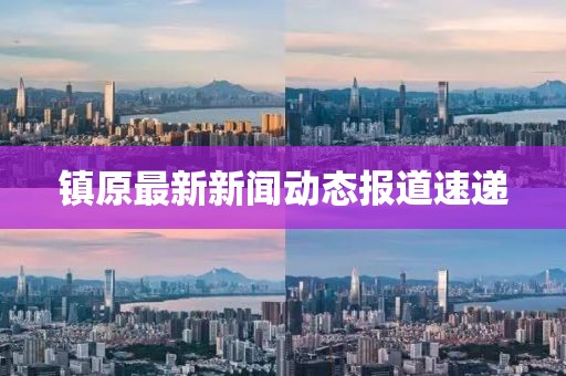 镇原最新新闻动态报道速递