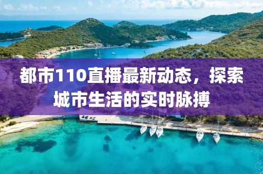 都市110直播最新动态，探索城市生活的实时脉搏