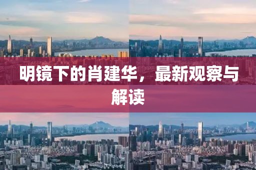 明镜下的肖建华，最新观察与解读