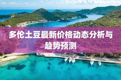 多伦土豆最新价格动态分析与趋势预测