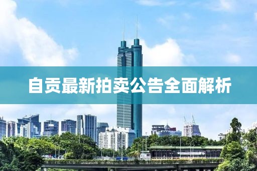自贡最新拍卖公告全面解析