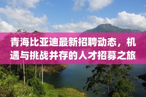 青海比亚迪最新招聘动态，机遇与挑战并存的人才招募之旅