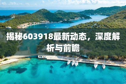 揭秘603918最新动态，深度解析与前瞻