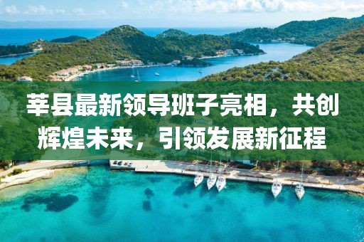 莘县最新领导班子亮相，共创辉煌未来，引领发展新征程