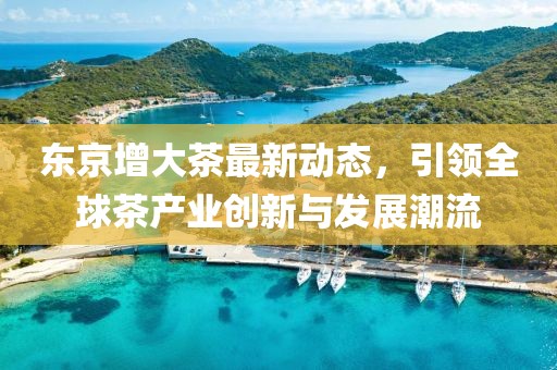 东京增大茶最新动态，引领全球茶产业创新与发展潮流