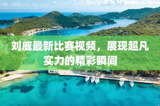 刘威最新比赛视频，展现超凡实力的精彩瞬间