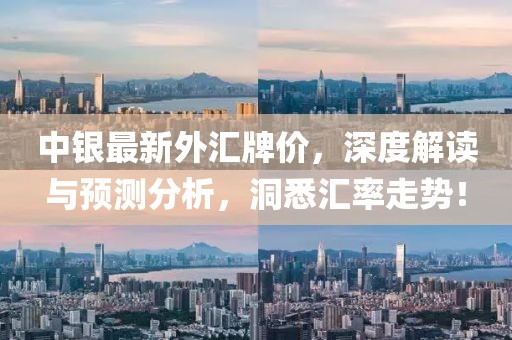 中银最新外汇牌价，深度解读与预测分析，洞悉汇率走势！