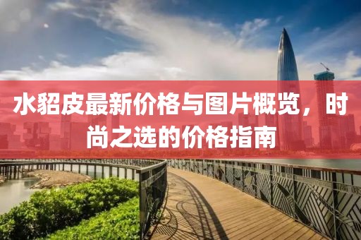 水貂皮最新价格与图片概览，时尚之选的价格指南
