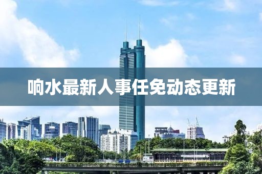响水最新人事任免动态更新