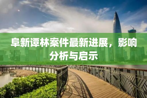 阜新谭林案件最新进展，影响分析与启示