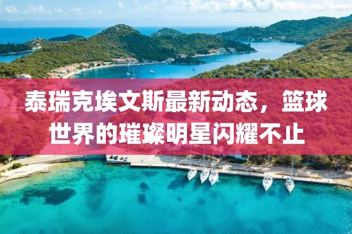 泰瑞克埃文斯最新动态，篮球世界的璀璨明星闪耀不止