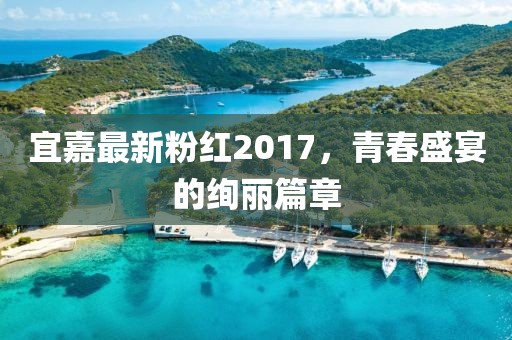 宜嘉最新粉红2017，青春盛宴的绚丽篇章