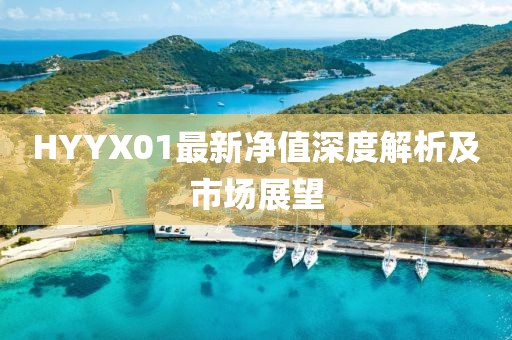HYYX01最新净值深度解析及市场展望