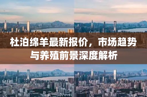 杜泊绵羊最新报价，市场趋势与养殖前景深度解析
