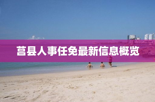 莒县人事任免最新信息概览