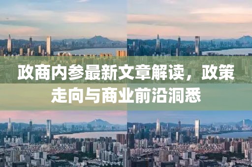 政商内参最新文章解读，政策走向与商业前沿洞悉