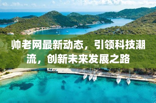 帅老网最新动态，引领科技潮流，创新未来发展之路