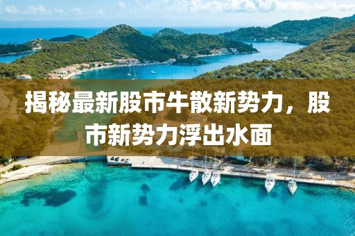 揭秘最新股市牛散新势力，股市新势力浮出水面
