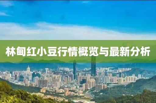 林甸红小豆行情概览与最新分析