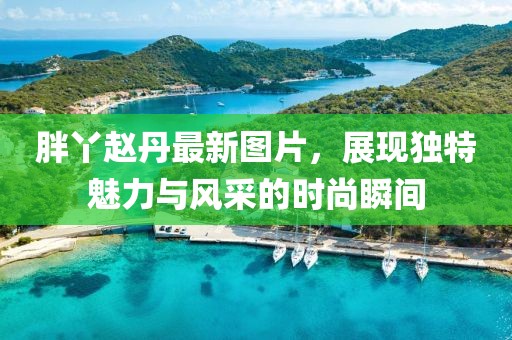 胖丫赵丹最新图片，展现独特魅力与风采的时尚瞬间