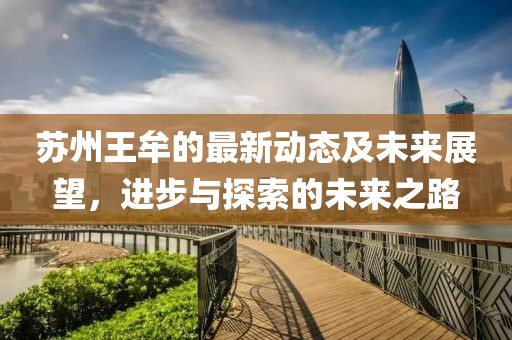 苏州王牟的最新动态及未来展望，进步与探索的未来之路