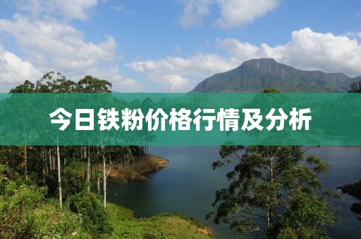 今日铁粉价格行情及分析