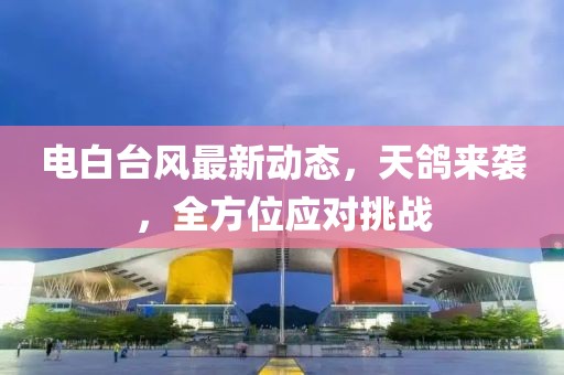 电白台风最新动态，天鸽来袭，全方位应对挑战