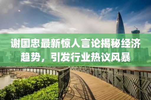 谢国忠最新惊人言论揭秘经济趋势，引发行业热议风暴