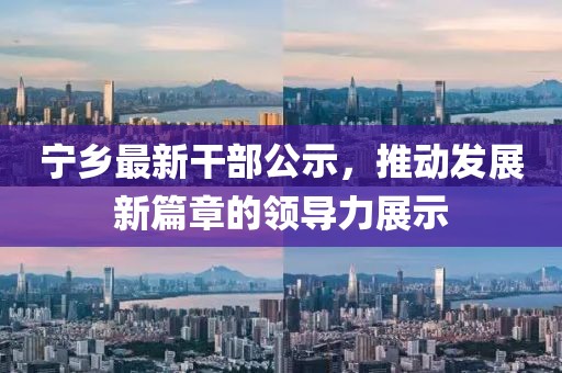 宁乡最新干部公示，推动发展新篇章的领导力展示