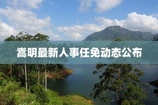 嵩明最新人事任免动态公布