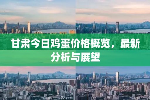 甘肃今日鸡蛋价格概览，最新分析与展望