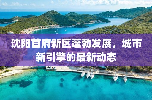 沈阳首府新区蓬勃发展，城市新引擎的最新动态