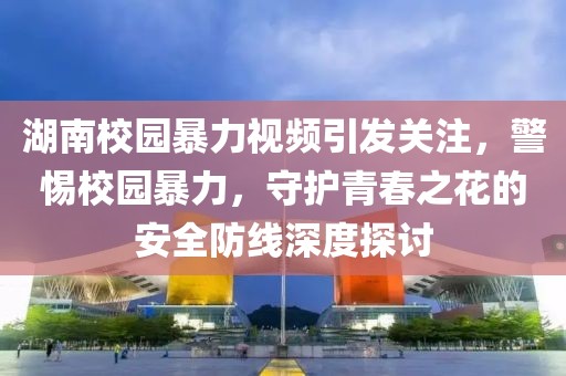 湖南校园暴力视频引发关注，警惕校园暴力，守护青春之花的安全防线深度探讨