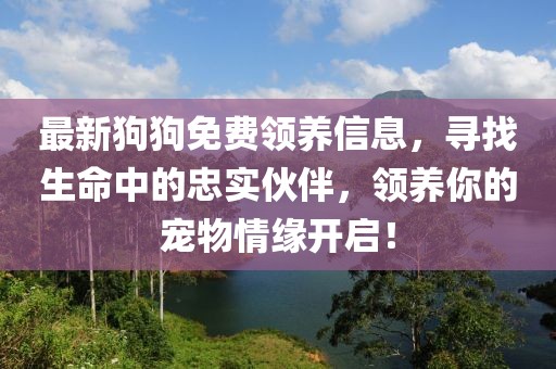最新狗狗免费领养信息，寻找生命中的忠实伙伴，领养你的宠物情缘开启！