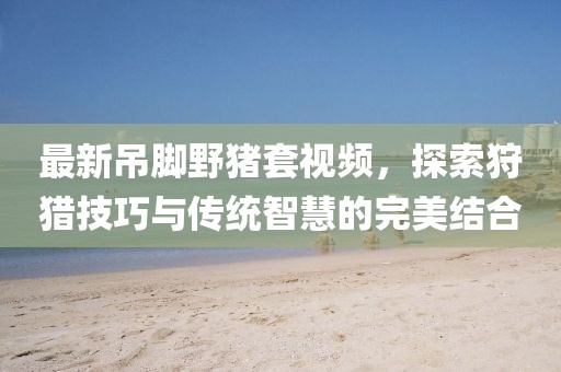 最新吊脚野猪套视频，探索狩猎技巧与传统智慧的完美结合