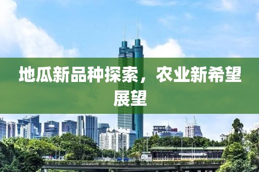 地瓜新品种探索，农业新希望展望