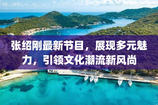 张绍刚最新节目，展现多元魅力，引领文化潮流新风尚