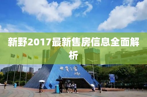 新野2017最新售房信息全面解析